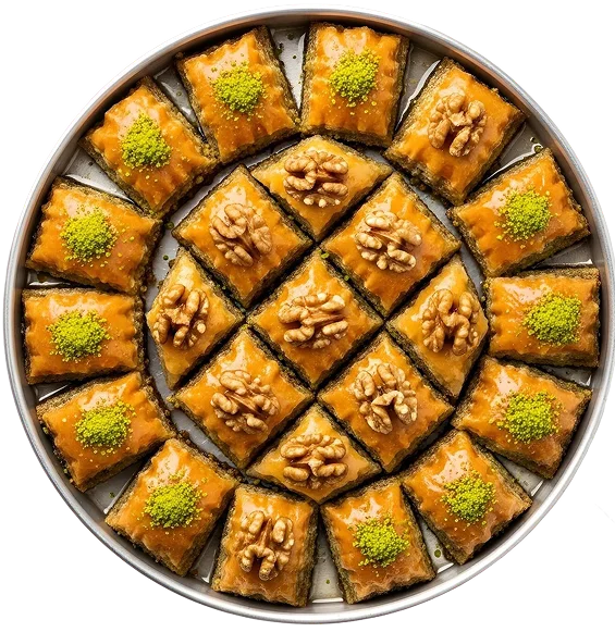 الرئيسية